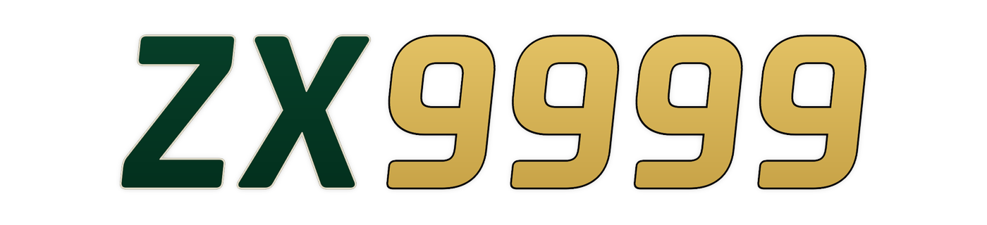 zx9999 Logo